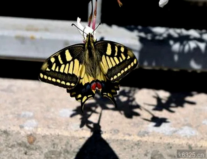 30句坚持奋斗励志箴言：不忘初心，砥砺前行